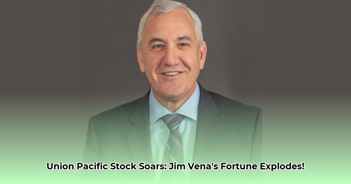 jim-vena-net-worth